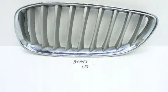 BMW Z4 E89 Front bumper upper radiator grill 40502054