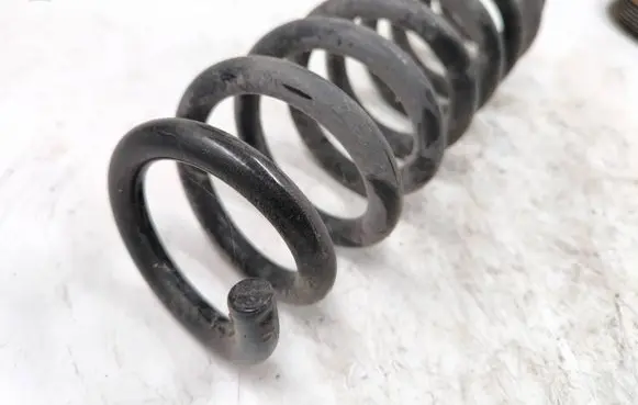 Rear coil spring