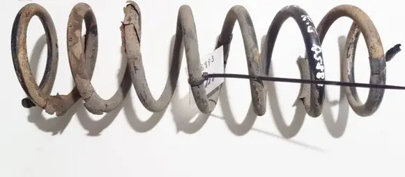 Ford Focus Rear coil spring