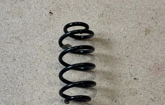 Rear coil spring