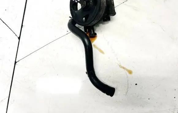 Hyundai Santa Fe Power steering pump