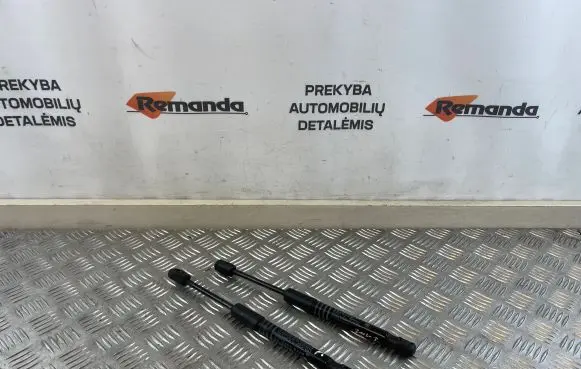 BMW 5 G30 G31 Front bonnet/hood damper/strut 9163560530N
