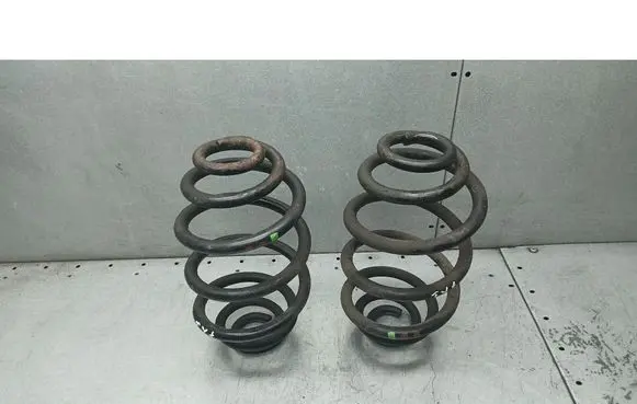 Volkswagen PASSAT B5.5 Rear coil spring
