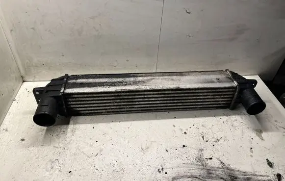 Opel Antara Intercooler radiator 96629070