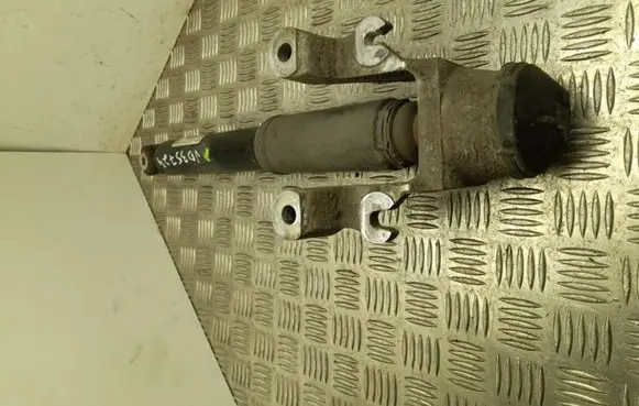 Rear shock absorber/damper