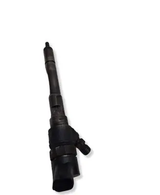 Hyundai Santa Fe Fuel injector 0445110