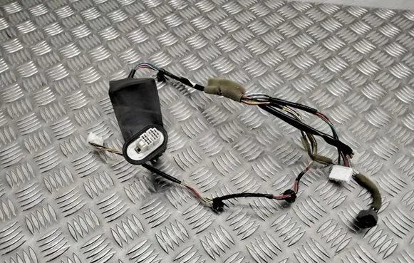 Rear door wiring loom