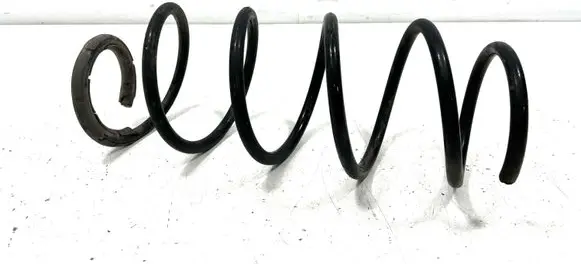 Front coil spring