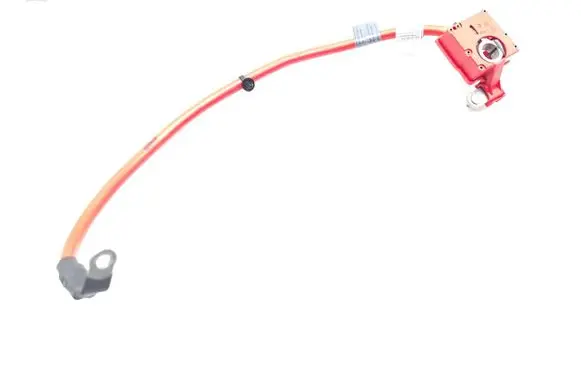 BMW X3 F25 Positive wiring loom 9213668