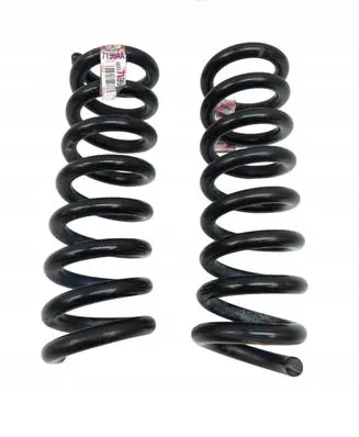 Dodge Charger Rear coil spring 