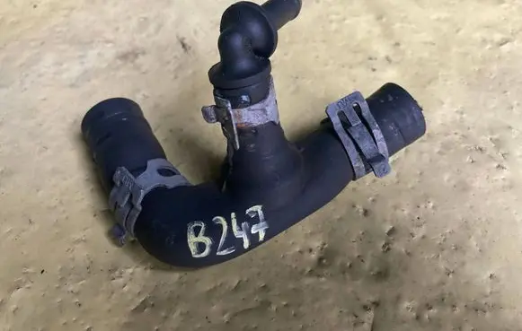 Mercedes-Benz B W245 Engine coolant pipe/hose A6402032682 667065418 PHX111317