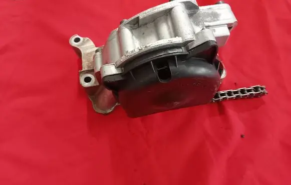 Volkswagen Golf V Oil pump 11367020211