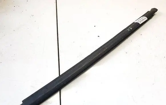 Rear door glass trim molding