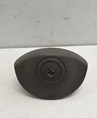 Renault Kangoo II Steering wheel airbag 6075209