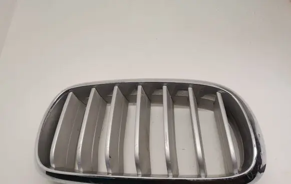 BMW X5 F15 Front bumper upper radiator grill 7316076