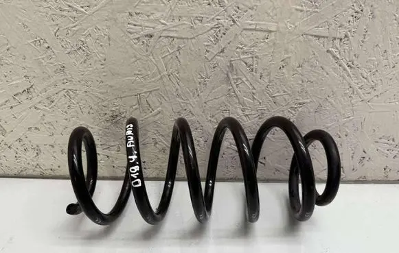 Rear coil spring