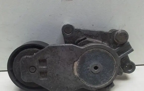 Peugeot 307 Alternator belt tensioner 419484