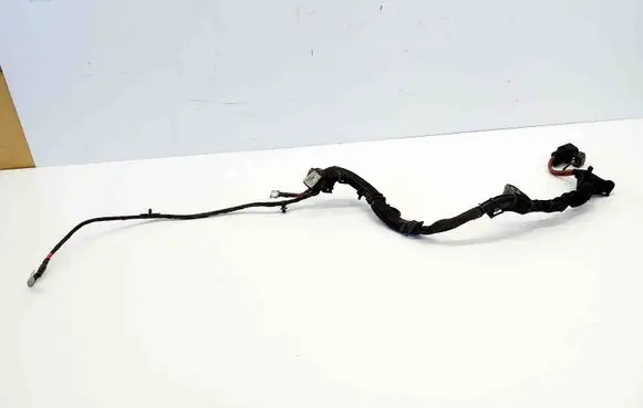 Other wiring loom