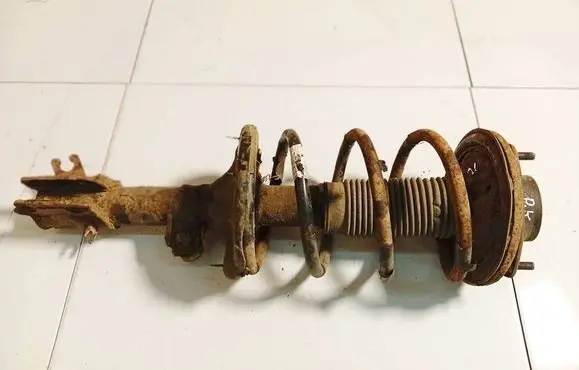 Hyundai Santa Fe Front shock absorber/damper 