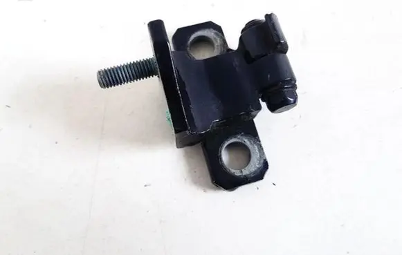 Volkswagen Phaeton Rear door lower hinge 3d4833401