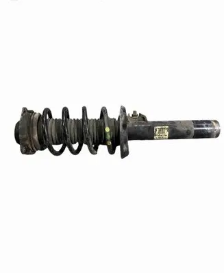 Volkswagen PASSAT B7 Front shock absorber with coil spring 3AA413031M