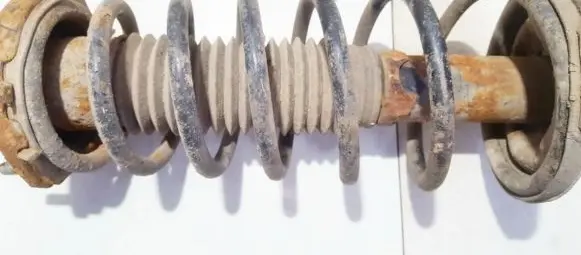 Mazda Premacy Rear coil spring