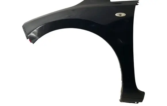 Nissan Leaf I (ZE0) Fender