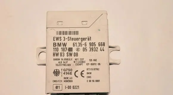 BMW 5 E39 Immobilizer control unit/module 61356905668 05393244 110187