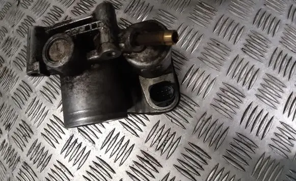 Volkswagen Golf IV Throttle valve 036133062