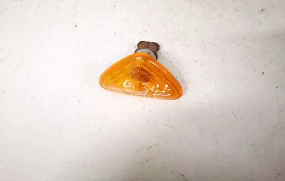 Front fender indicator light