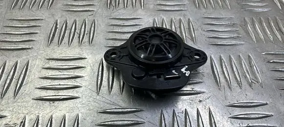 Tesla Model 3 Panel speaker 109873700B