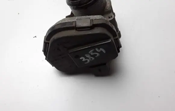 Citroen Berlingo Throttle valve