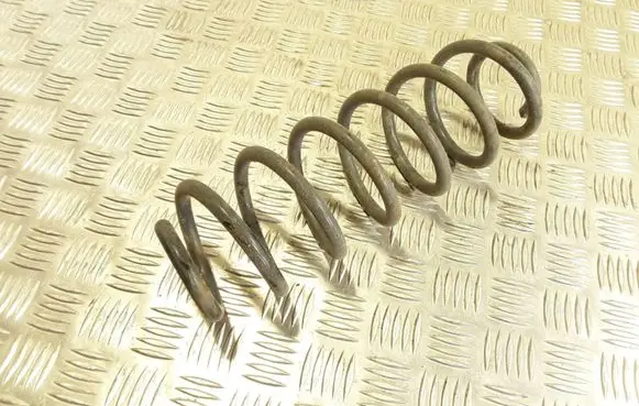 Volkswagen Golf V Rear coil spring