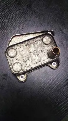 Mercedes-Benz E W210 Engine oil radiator 612188010