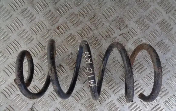 Rear coil spring