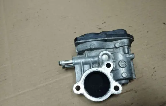 EGR valve