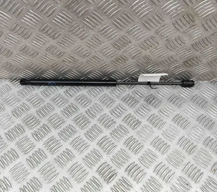 Ford Mustang Mach-E Front bonnet/hood damper/strut LJ8BR16C826AB