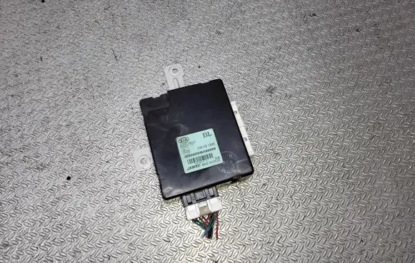Door central lock control unit/module