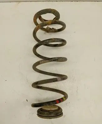 Rear coil spring