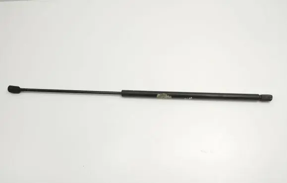 Front bonnet/hood damper/strut