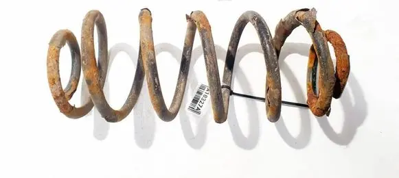 Rear coil spring