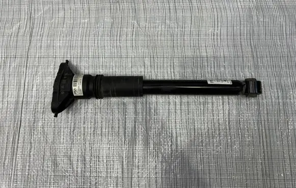 Peugeot 307 Rear shock absorber/damper 9836658080