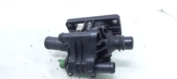 Thermostat/thermostat housing