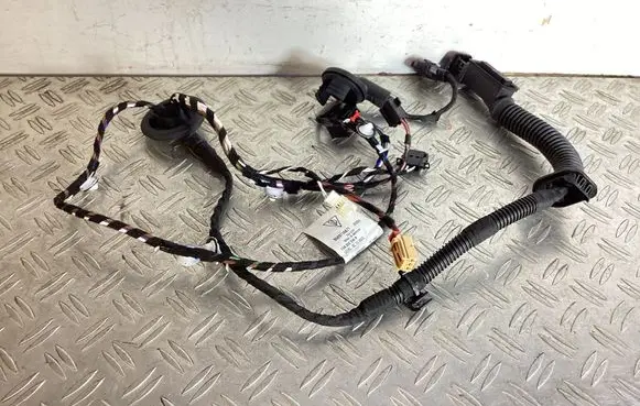 Rear door wiring loom
