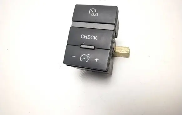 Panel lighting control switch