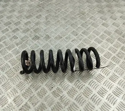 Dodge Charger Rear coil spring 4895583AA
