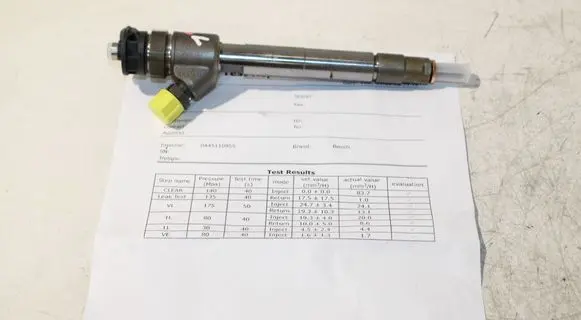 Peugeot Partner III Fuel injector 9828959880 0445110955