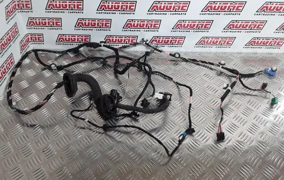 Tesla Model 3 Front door wiring loom 306796600C