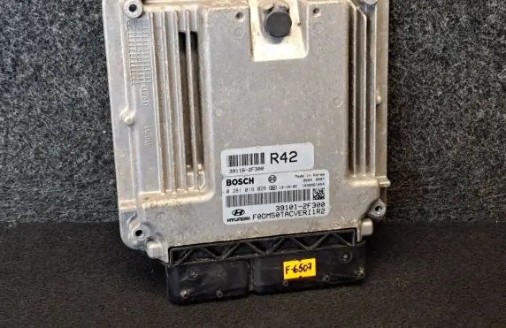 Hyundai Santa Fe Other control units/modules 391012F300 391162F300 0281019026