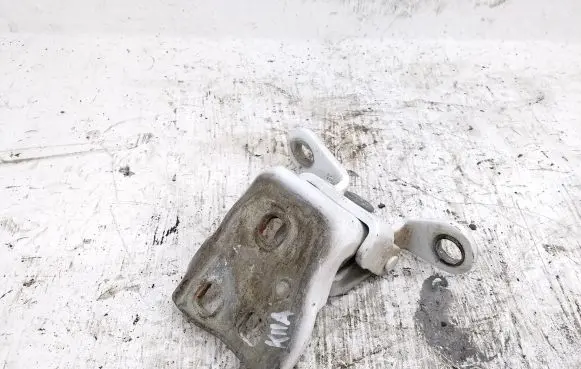 Chrysler 300 - 300C Front door lower hinge 257J0D5M 85574F